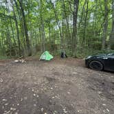 Review photo of NFR 273 Dispersed Camping Spot by Will K., July 6, 2026
