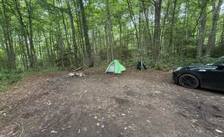 Will K.'s photo at NFR 273 Dispersed Camping Spot near Readsboro, VT
