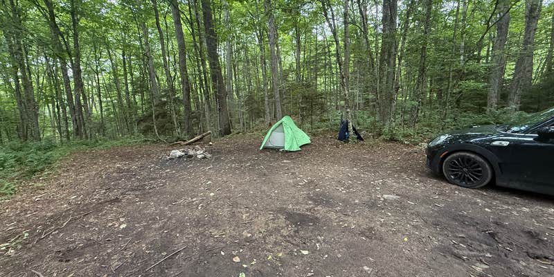 Camper submitted image from NFR 273 Dispersed Camping Spot