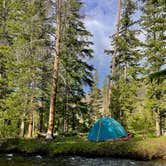 Review photo of Ute Pass Dispersed Camping by Jenna G., August 23, 2024