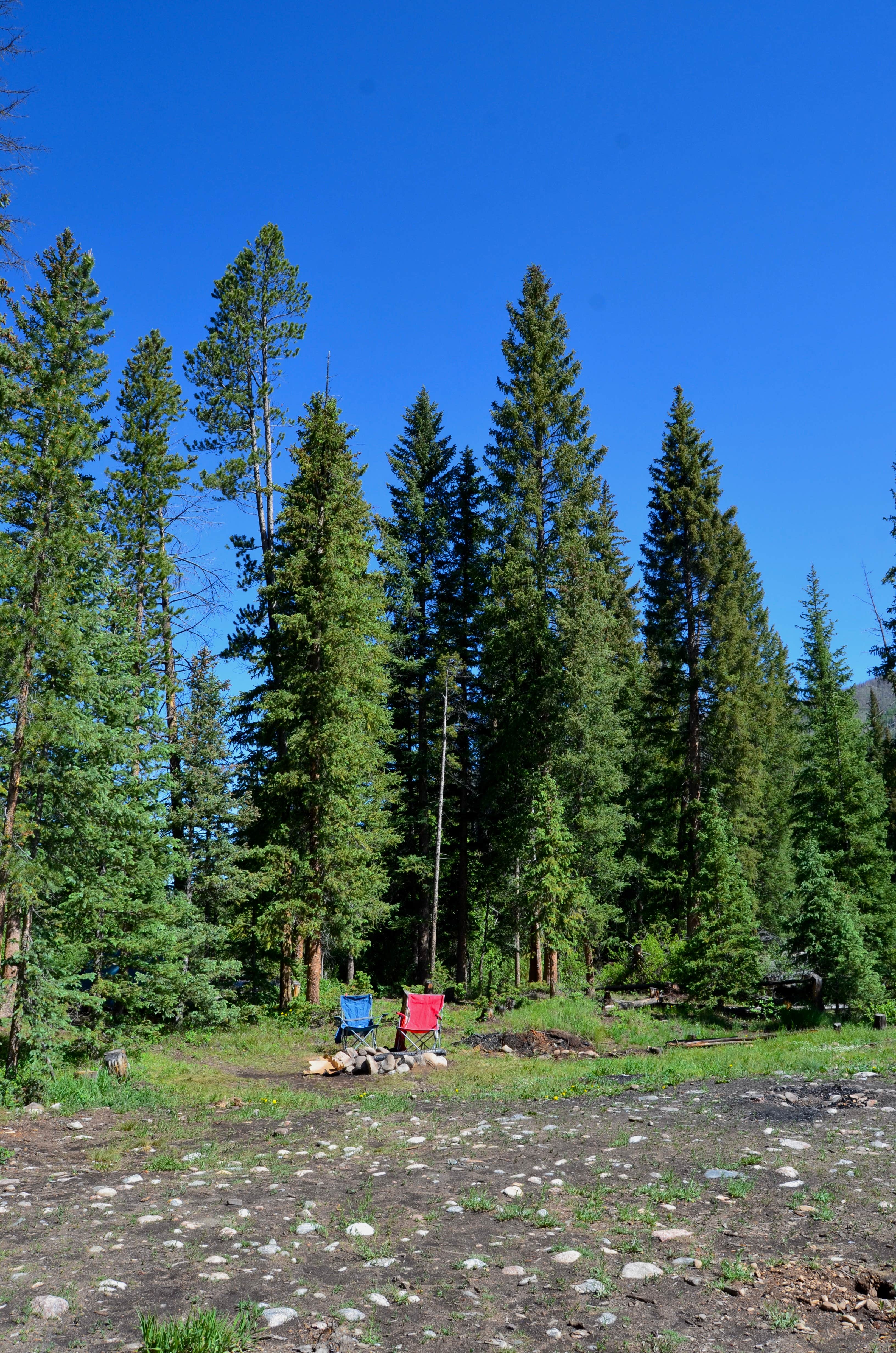 Camper submitted image from Ute Pass Dispersed Camping - 4