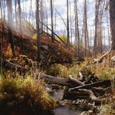 Review photo of Ute Pass Dispersed Camping by Katherine M., January 17, 2025