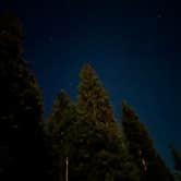 Review photo of Ute Pass Dispersed Camping by Jenna G., August 23, 2024