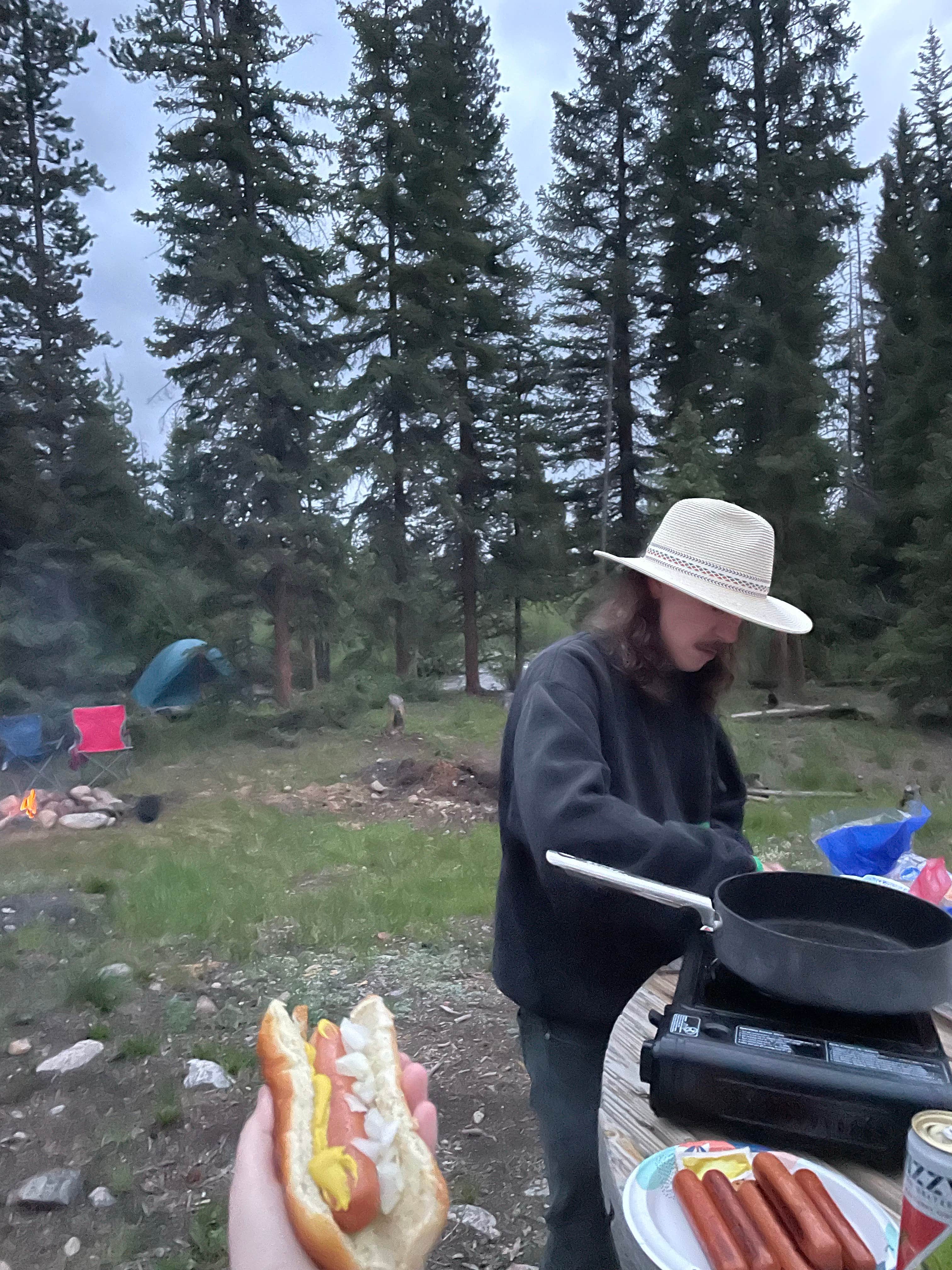 Jenna G.'s photo of camping with pets at Ute Pass Dispersed Camping near Hot Sulphur Springs, CO