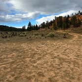 Review photo of FR 090 - dispersed camping by asruh W., October 11, 2025