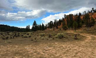 asruh W.'s photo of a dispersed camping area at FR 090 - dispersed camping near Bryce Canyon National Park