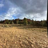 Review photo of FR 090 - dispersed camping by asruh W., October 11, 2025