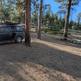 Review photo of FR 090 - dispersed camping by denver C., May 14, 2025