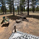 Review photo of FR 090 - dispersed camping by Bubble G., May 25, 2024