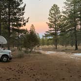 Review photo of FR 090 - dispersed camping by Kevin T., November 30, 2024