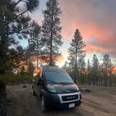 Review photo of FR 090 - dispersed camping by shannon C., March 24, 2026