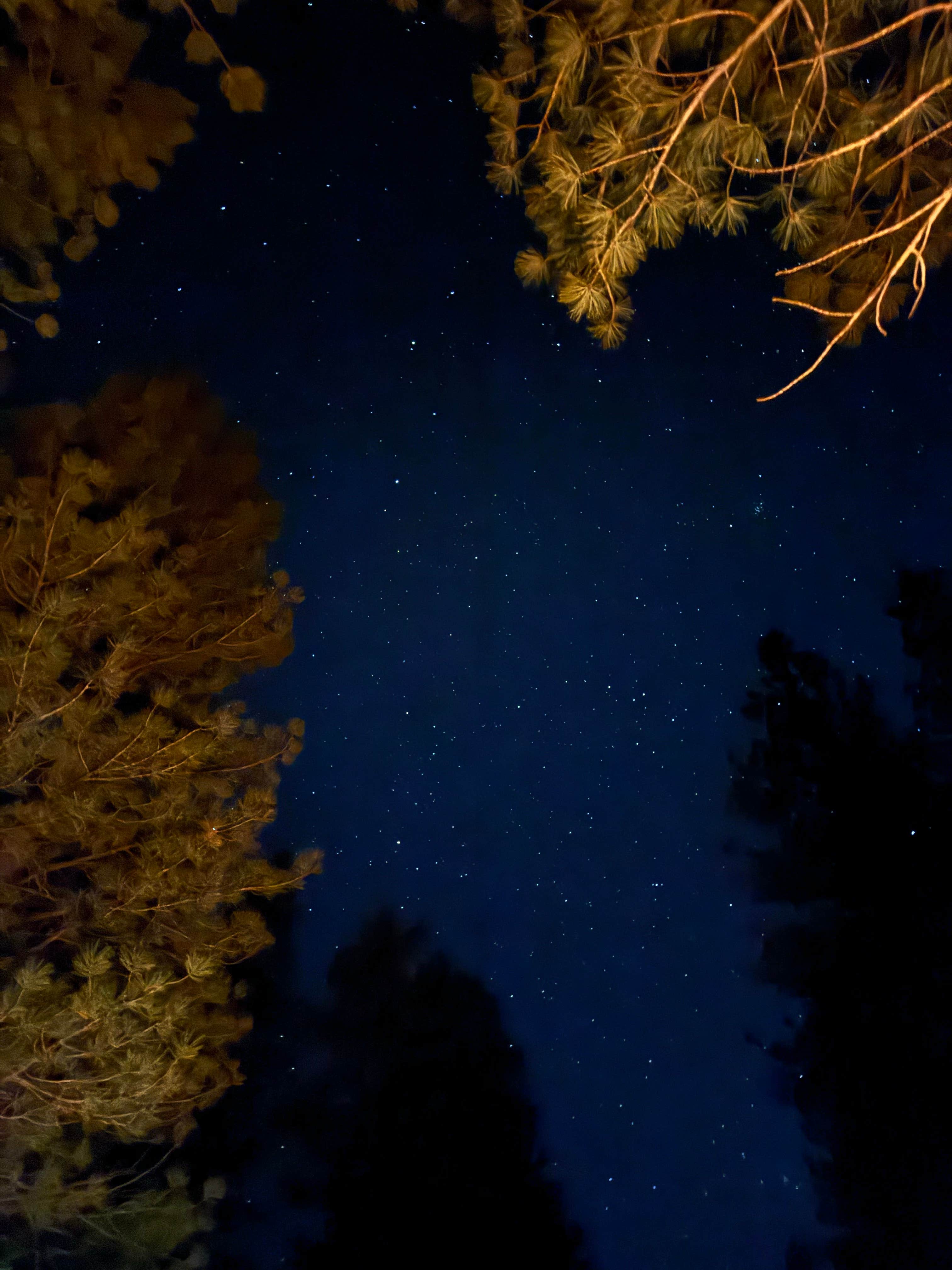 Paulina P.'s photo of a dispersed camping area at FR 090 - dispersed camping near Panguitch, UT