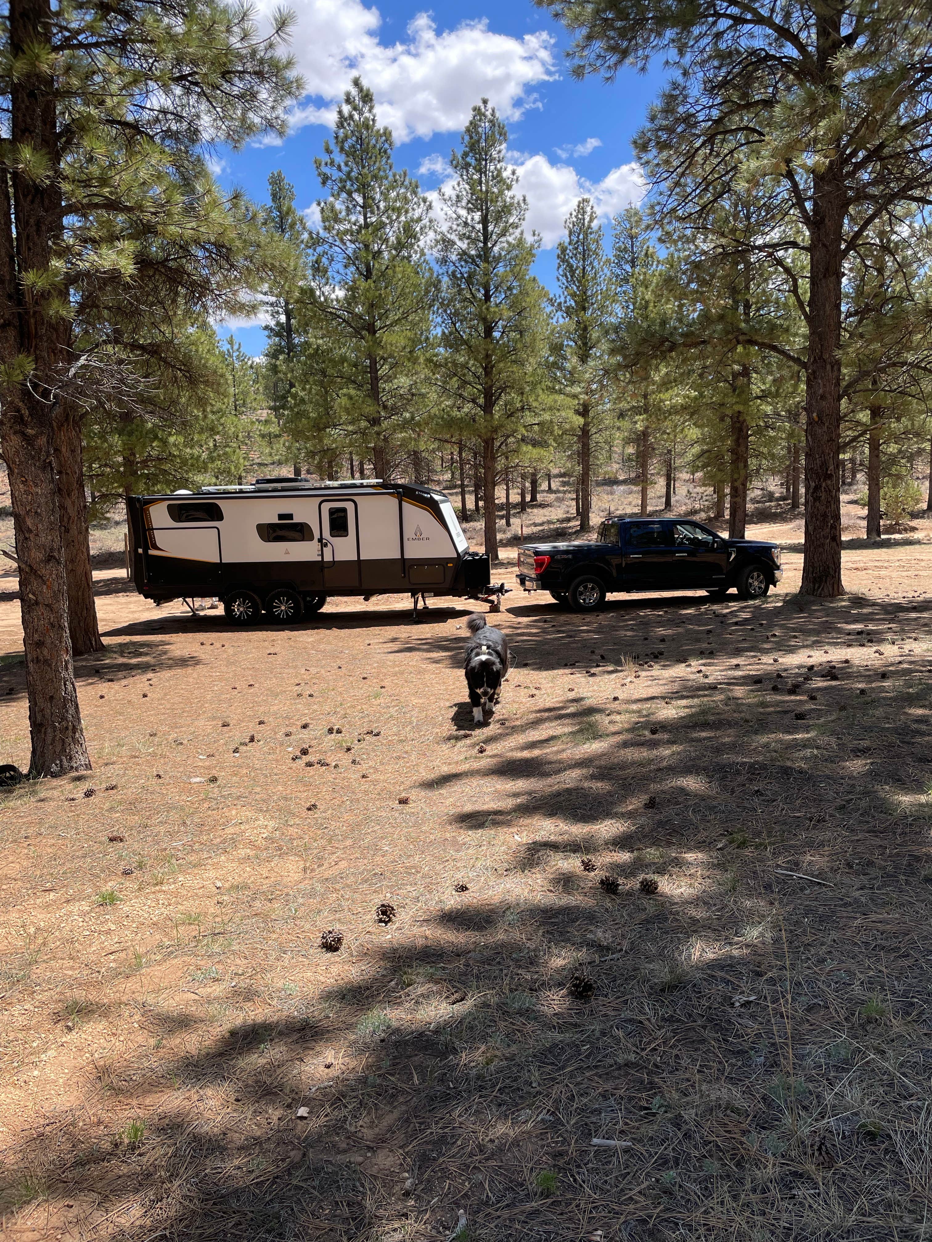 Mary's photo at FR 090 - dispersed camping near Bryce Canyon National Park