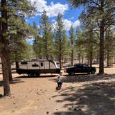 Review photo of FR 090 - dispersed camping by Mary , May 11, 2025
