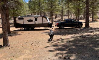 Mary's photo at FR 090 - dispersed camping near Cannonville, UT