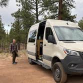 Review photo of FR 090 - dispersed camping by angela M., June 7, 2025
