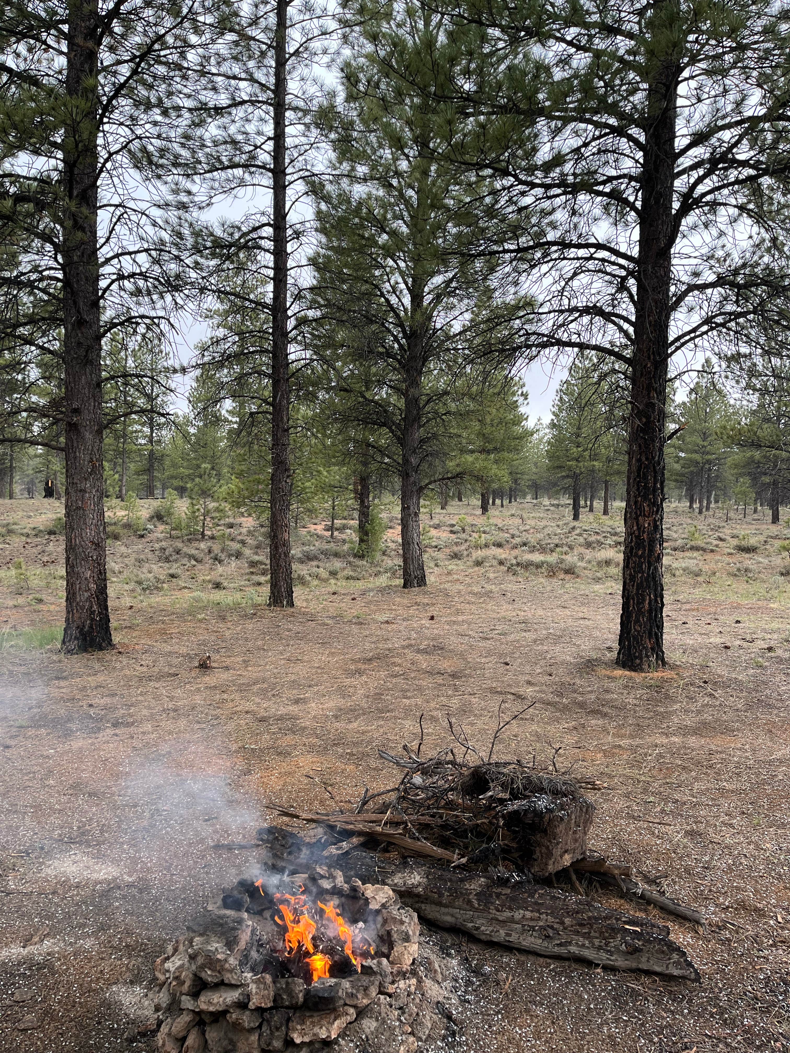 Camper-submitted photo at FR 090 - dispersed camping near Henrieville, UT