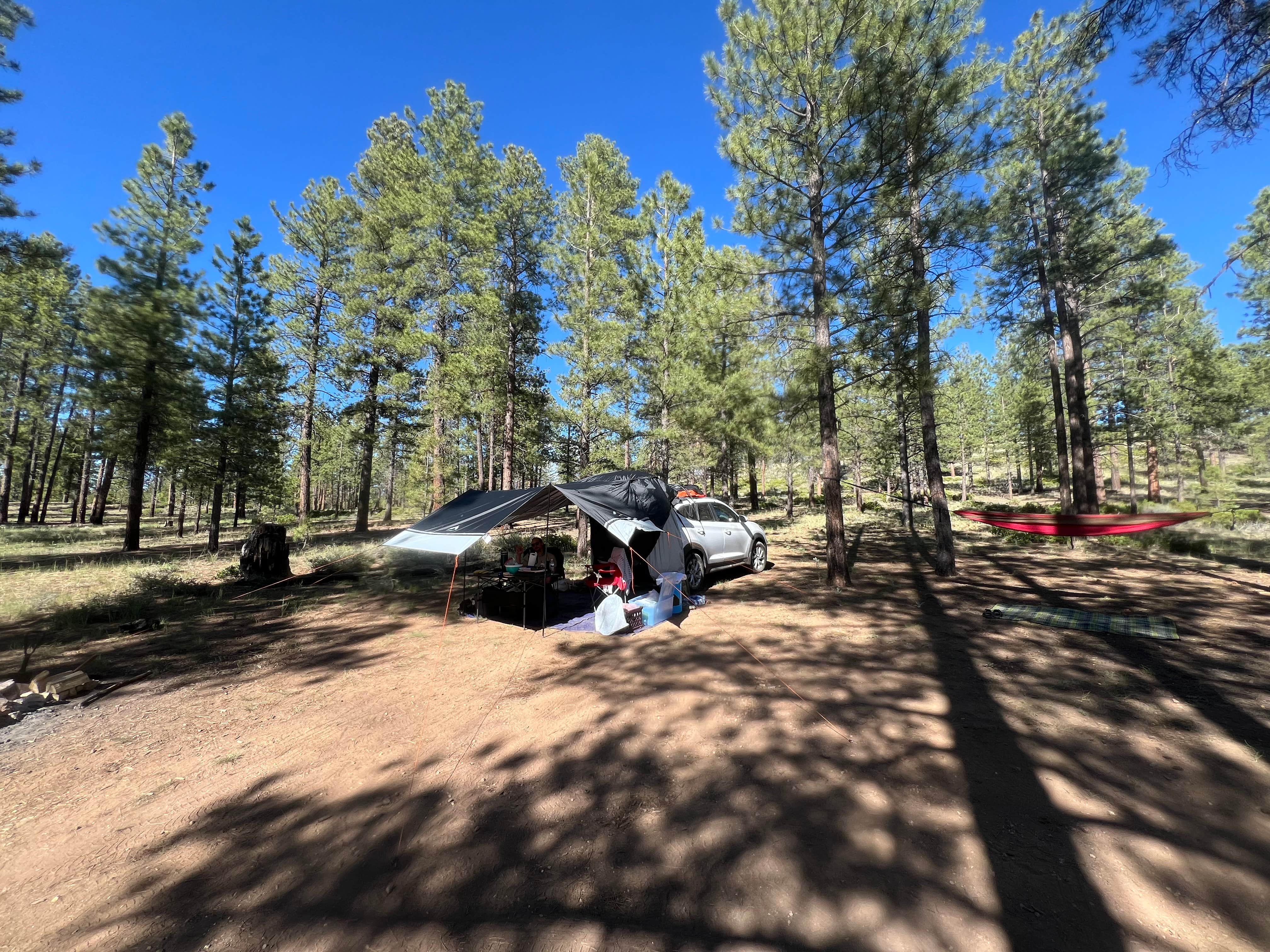 Kelsey's photo of a dispersed camping area at FR 090 - dispersed camping in Utah
