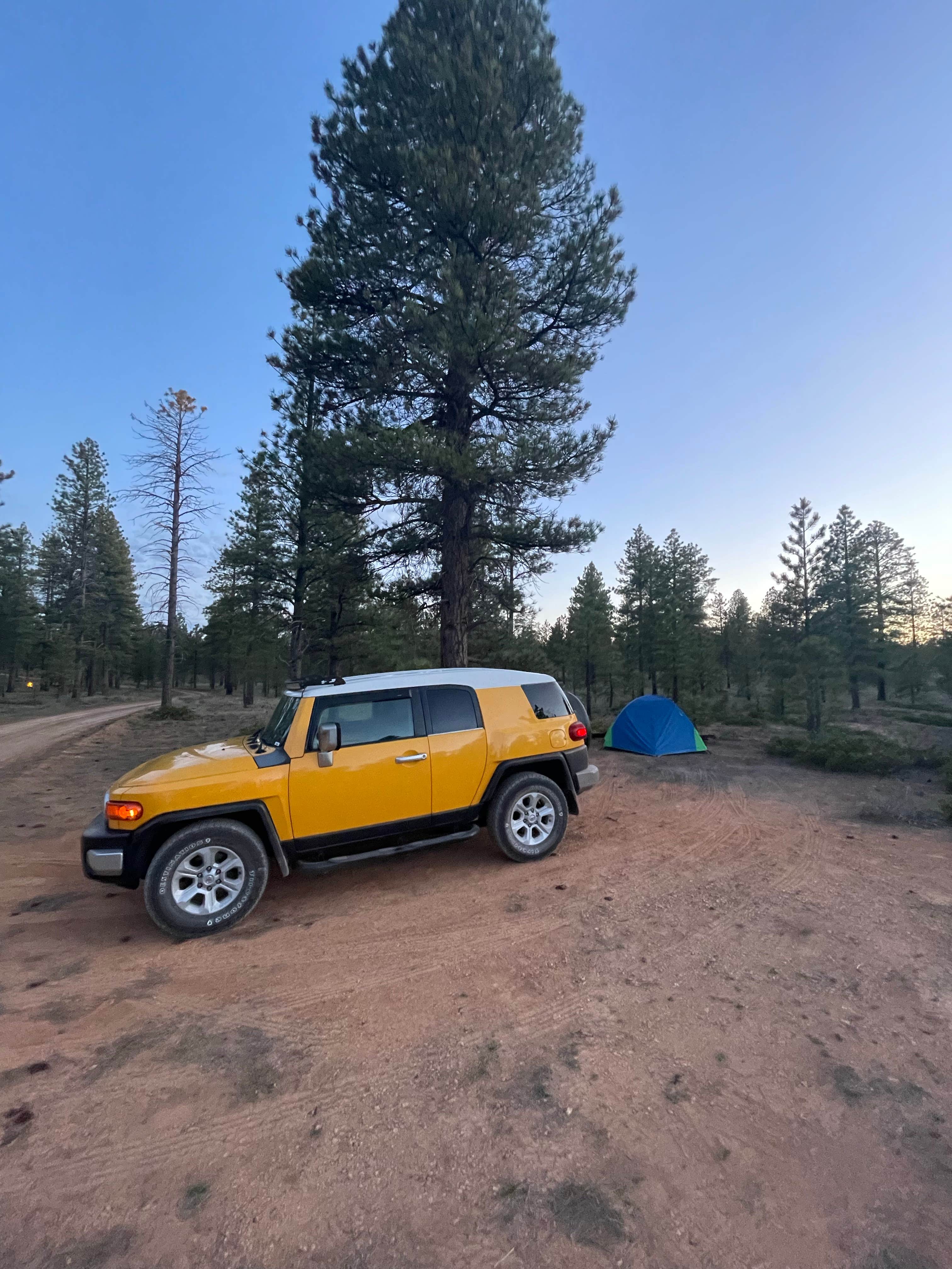 Camper-submitted photo at FR 090 - dispersed camping near Beaver, UT
