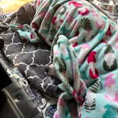 Review photo of FR 090 - dispersed camping by Jeff P., April 25, 2025