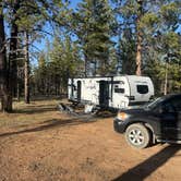 Review photo of FR 090 - dispersed camping by Tim C., May 11, 2026