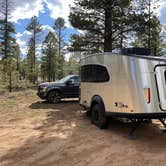 Review photo of FR 090 - dispersed camping by Ty C., May 3, 2026
