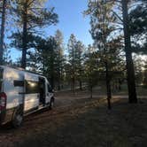 Review photo of FR 090 - dispersed camping by Allie V., August 19, 2024