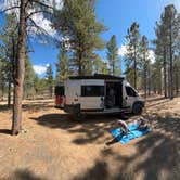 Review photo of FR 090 - dispersed camping by Jeff P., April 25, 2025