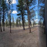 Review photo of FR 090 - dispersed camping by Jeff P., April 25, 2025