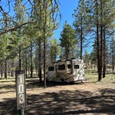 Review photo of FR 090 - dispersed camping by Jean-Sebastien C., June 6, 2024