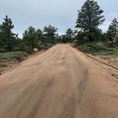 Review photo of Forest Service Road 700 Designated Dispersed Camping by Rara B., June 5, 2025