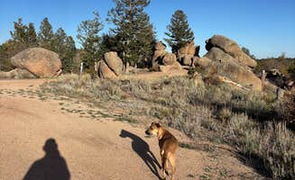 Frank B.'s photo of a dispersed camping area at Forest Service Road 700 Designated Dispersed Camping near Laramie, WY