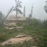 Review photo of Forest Service Road 700 Designated Dispersed Camping by Rara B., June 5, 2025