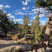 Review photo of Forest Service Road 700 Designated Dispersed Camping by Frank B., October 5, 2025