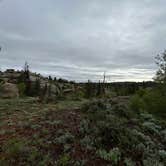 Review photo of Forest Service Road 700 Designated Dispersed Camping by Rara B., June 5, 2025