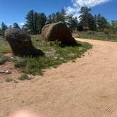 Review photo of Forest Service Road 700 Designated Dispersed Camping by steve M., May 30, 2026