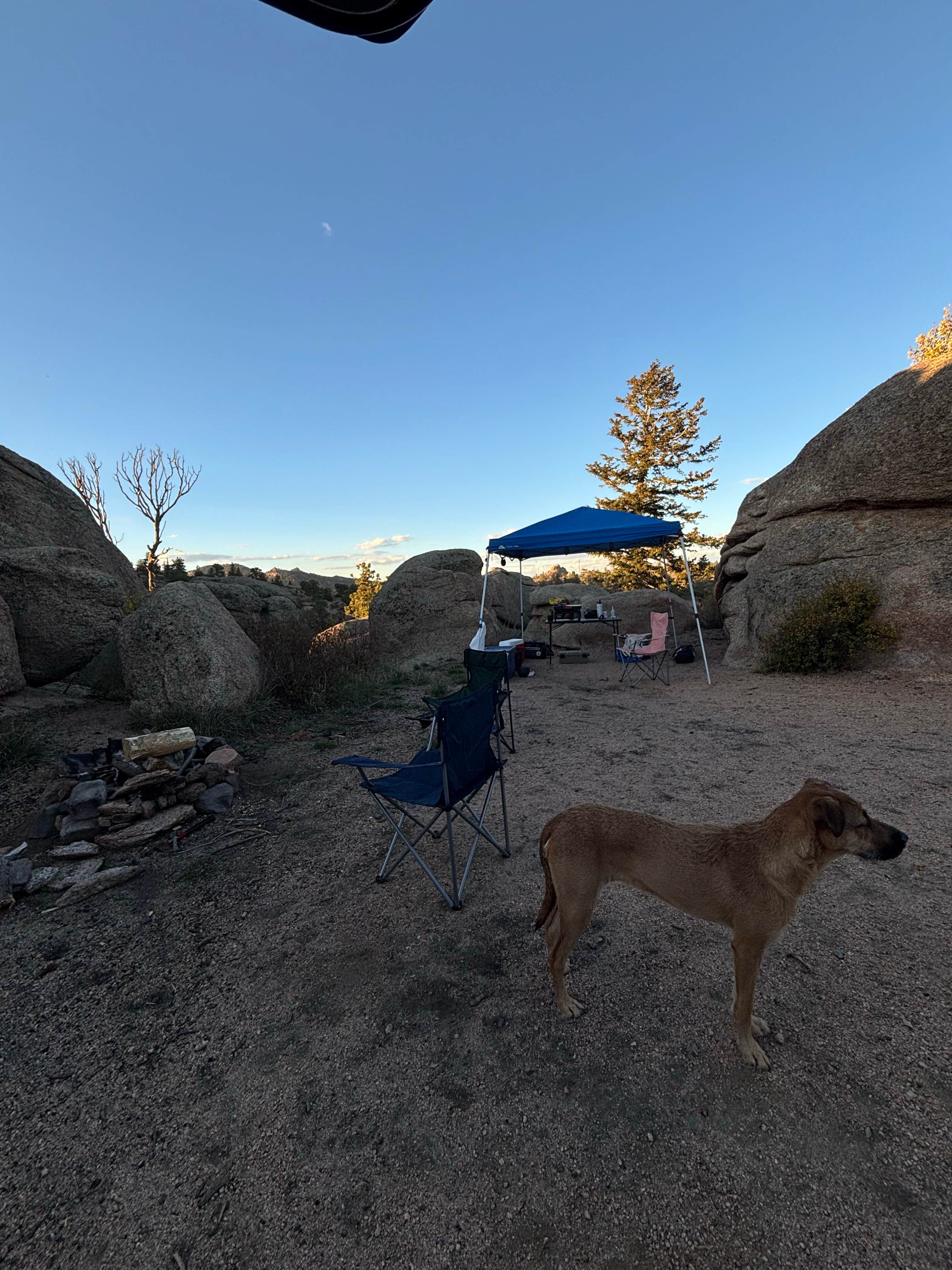 Frank B.'s photo at Forest Service Road 700 Designated Dispersed Camping near Granite Canon, WY