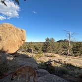Review photo of Forest Service Road 700 Designated Dispersed Camping by Frank B., October 5, 2025