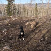 Review photo of Dispersed Camping Willow Spring (Wasatch) by alexis E., April 19, 2026