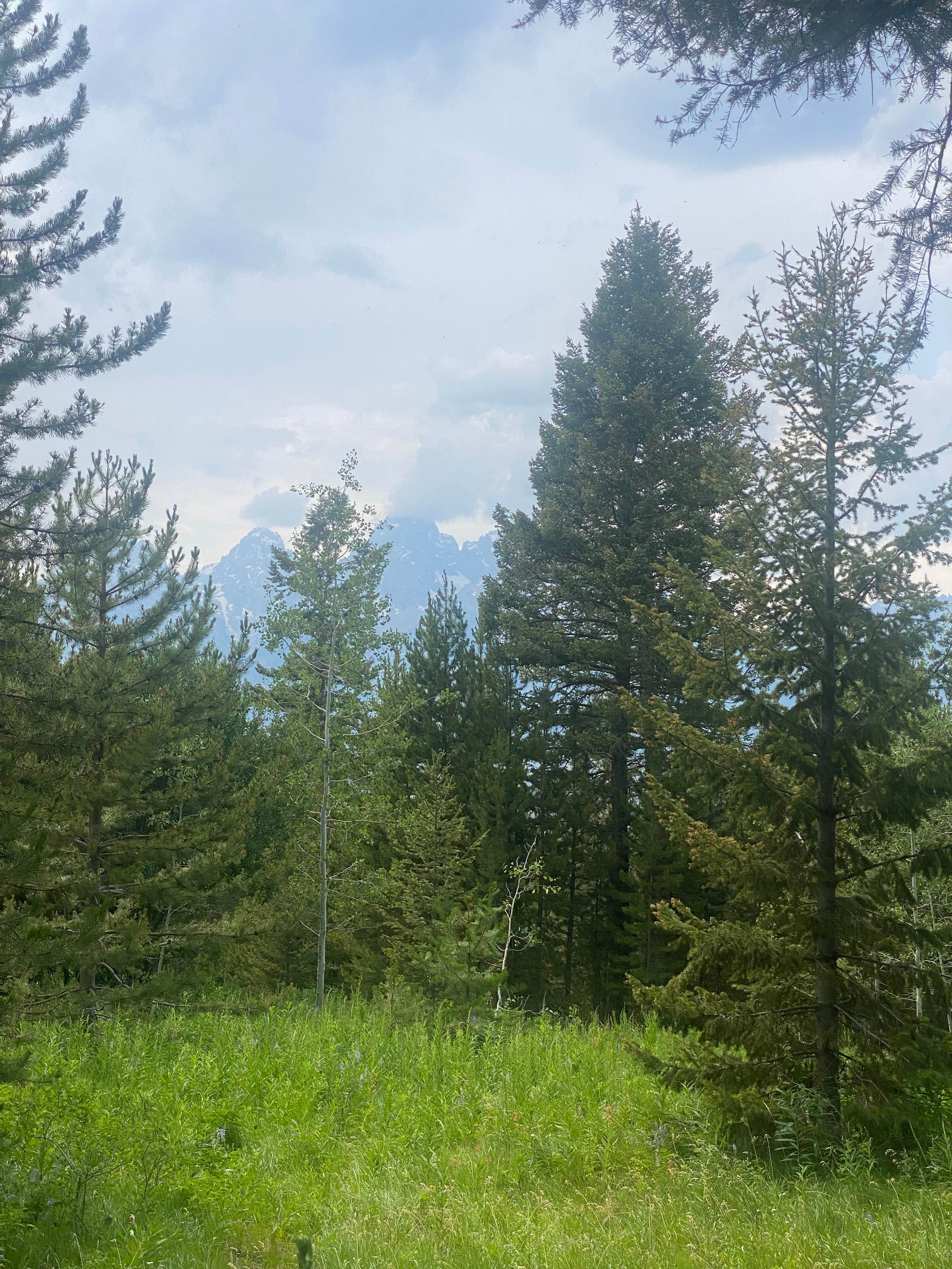 Camper-submitted photo at Forest Rd 30340B Dispersed Site near Moose, WY