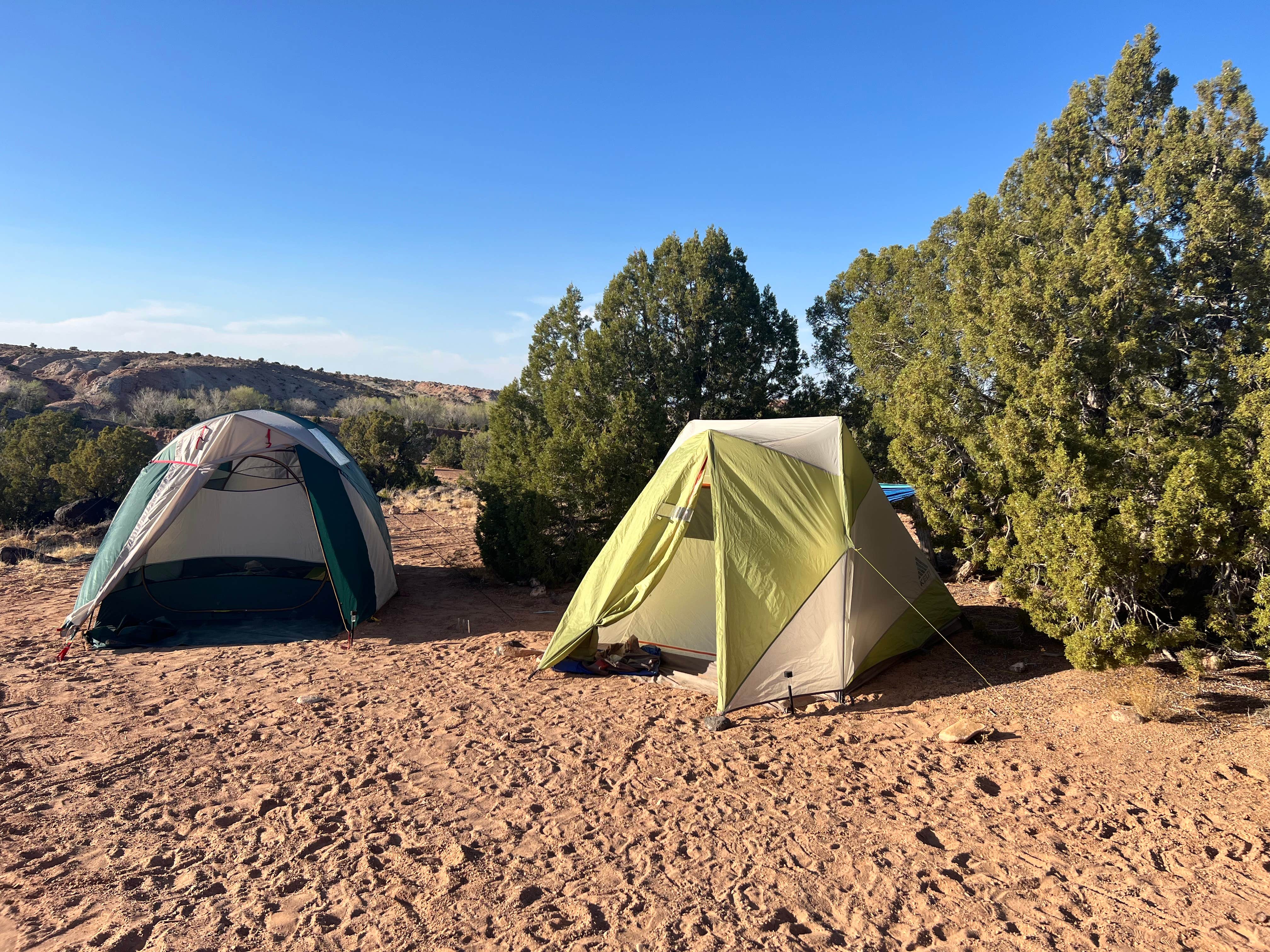 Erin S.'s photo at Dispersed Campsite Near Capital Reef National Park near Capitol Reef National Park