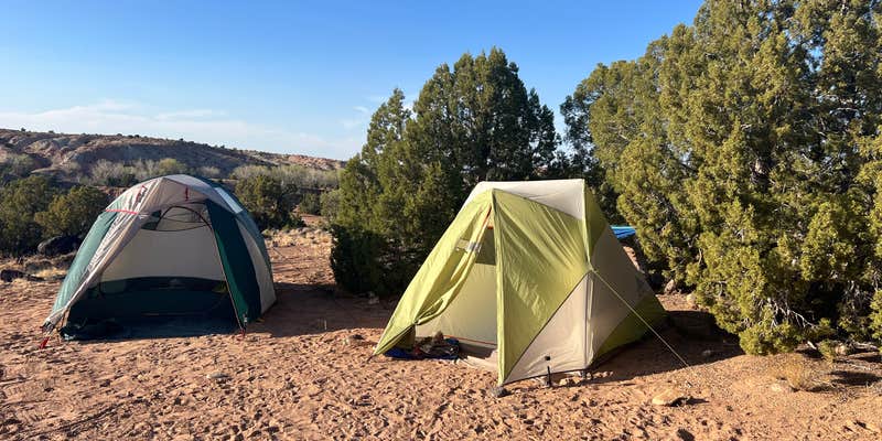 Camper submitted image from Dispersed Campsite Near Capital Reef National Park