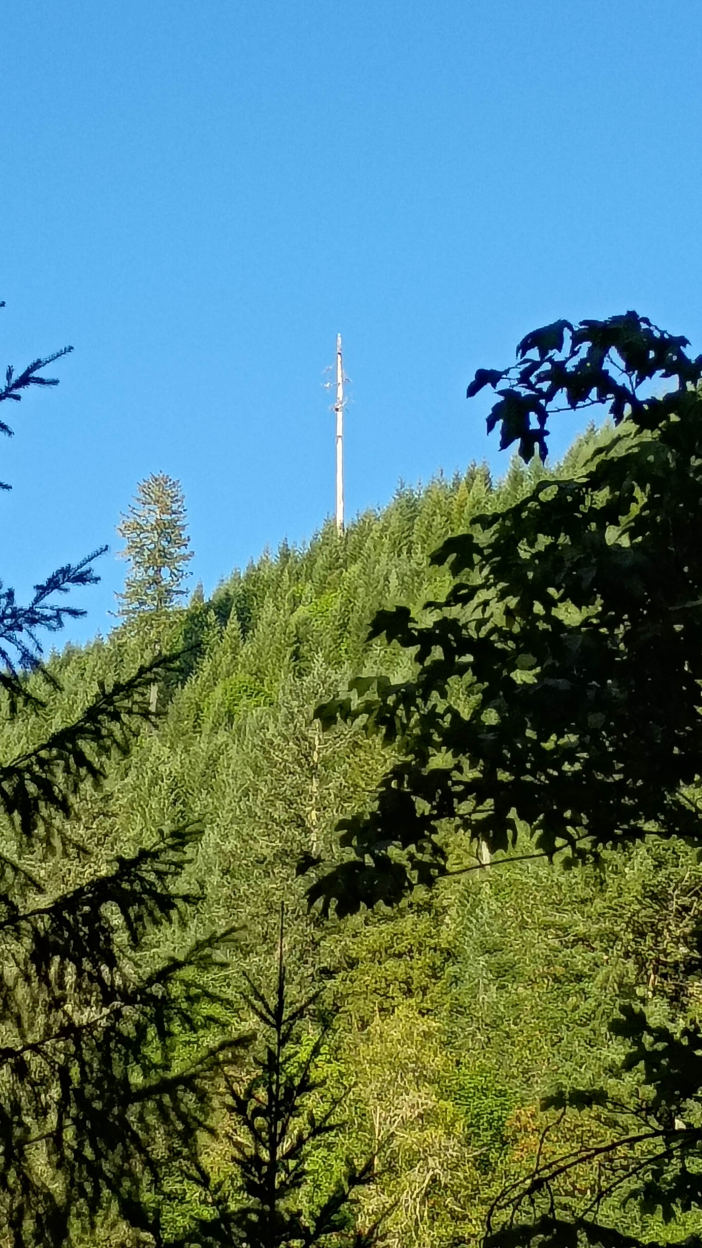 Camper-submitted photo at Quartzville Road Dispersed Campsite near Gates, OR