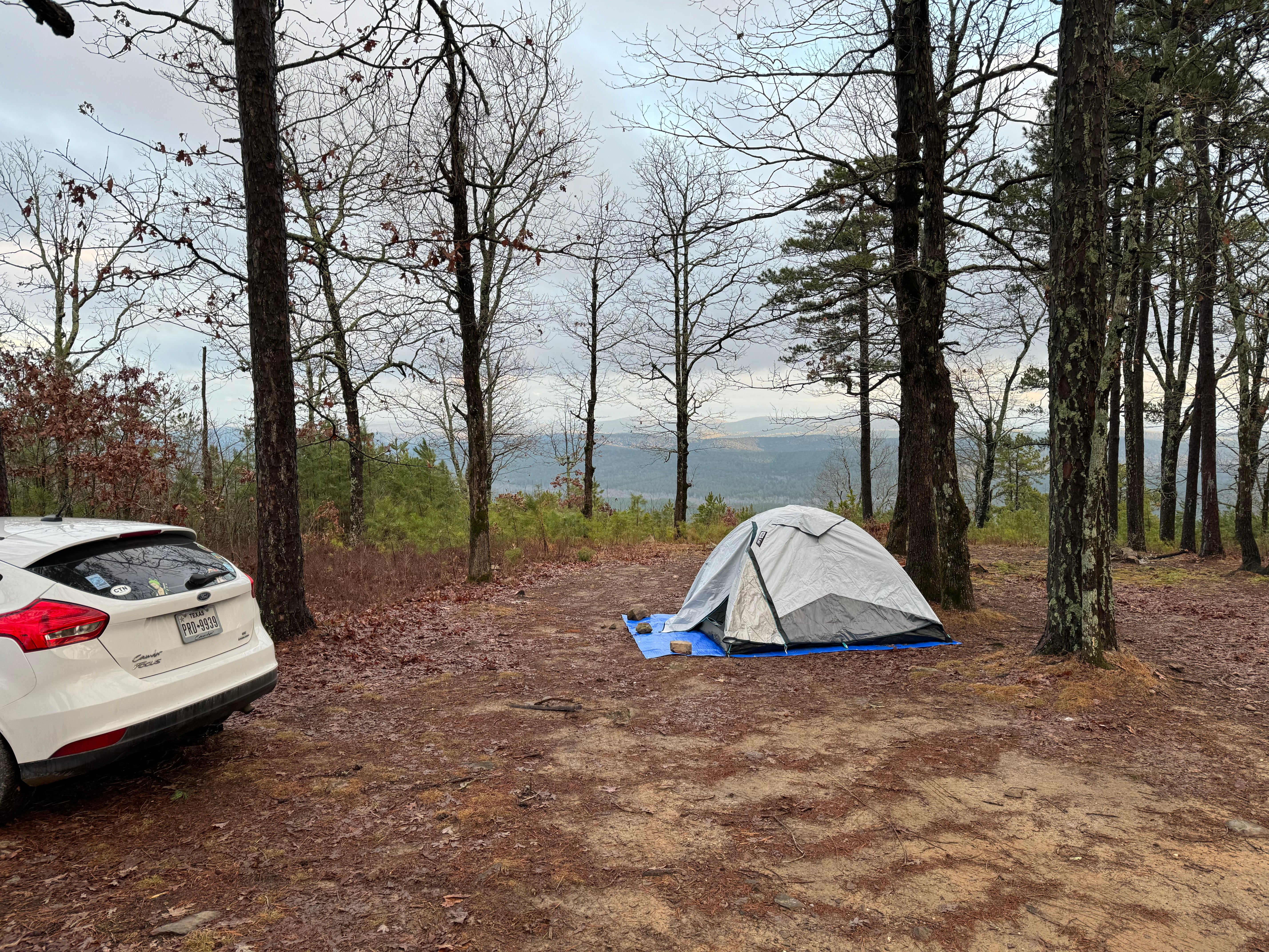 Camper submitted image from Dispersed FR132 Ouachita National Forest, AR - 5