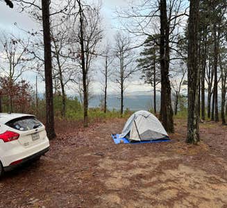 Camper-submitted photo from Dispersed FR132 Ouachita National Forest, AR