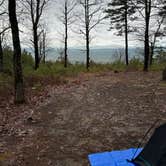 Review photo of Forest Service RD 132 Ouachita National Forest by Jared E., March 9, 2024