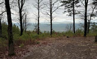 Jared E.'s photo at Forest Service RD 132 Ouachita National Forest near Nimrod Lake