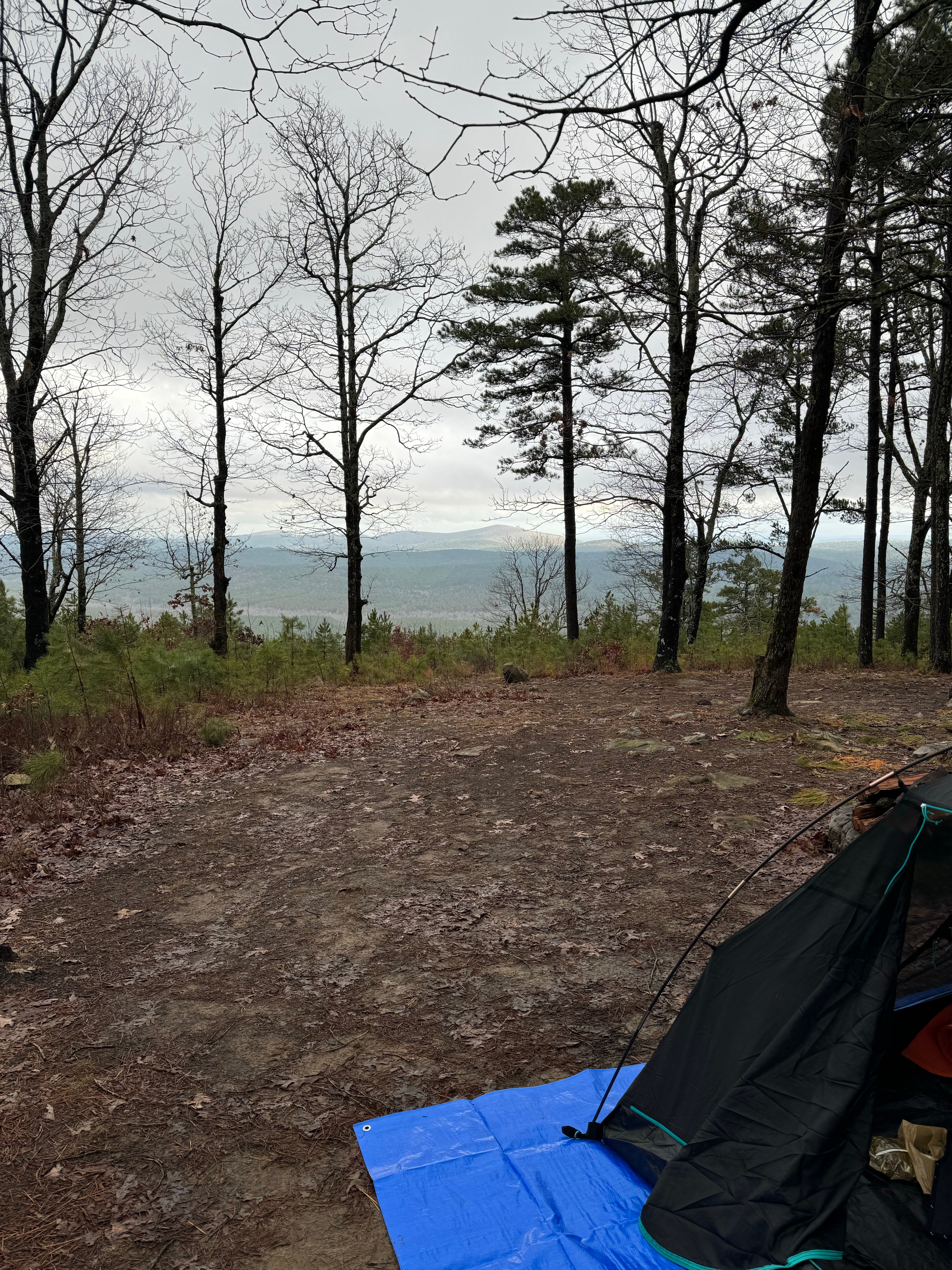 Camper submitted image from Dispersed FR132 Ouachita National Forest, AR - 4