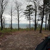 Review photo of Dispersed FR132 Ouachita National Forest, AR by Jared E., March 9, 2024