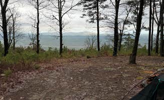 Jared E.'s photo of a dispersed camping area at Forest Service RD 132 Ouachita National Forest near Mount Ida, AR